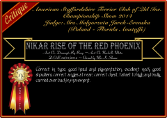 Nikar Rise Of The Red Phoenix.png